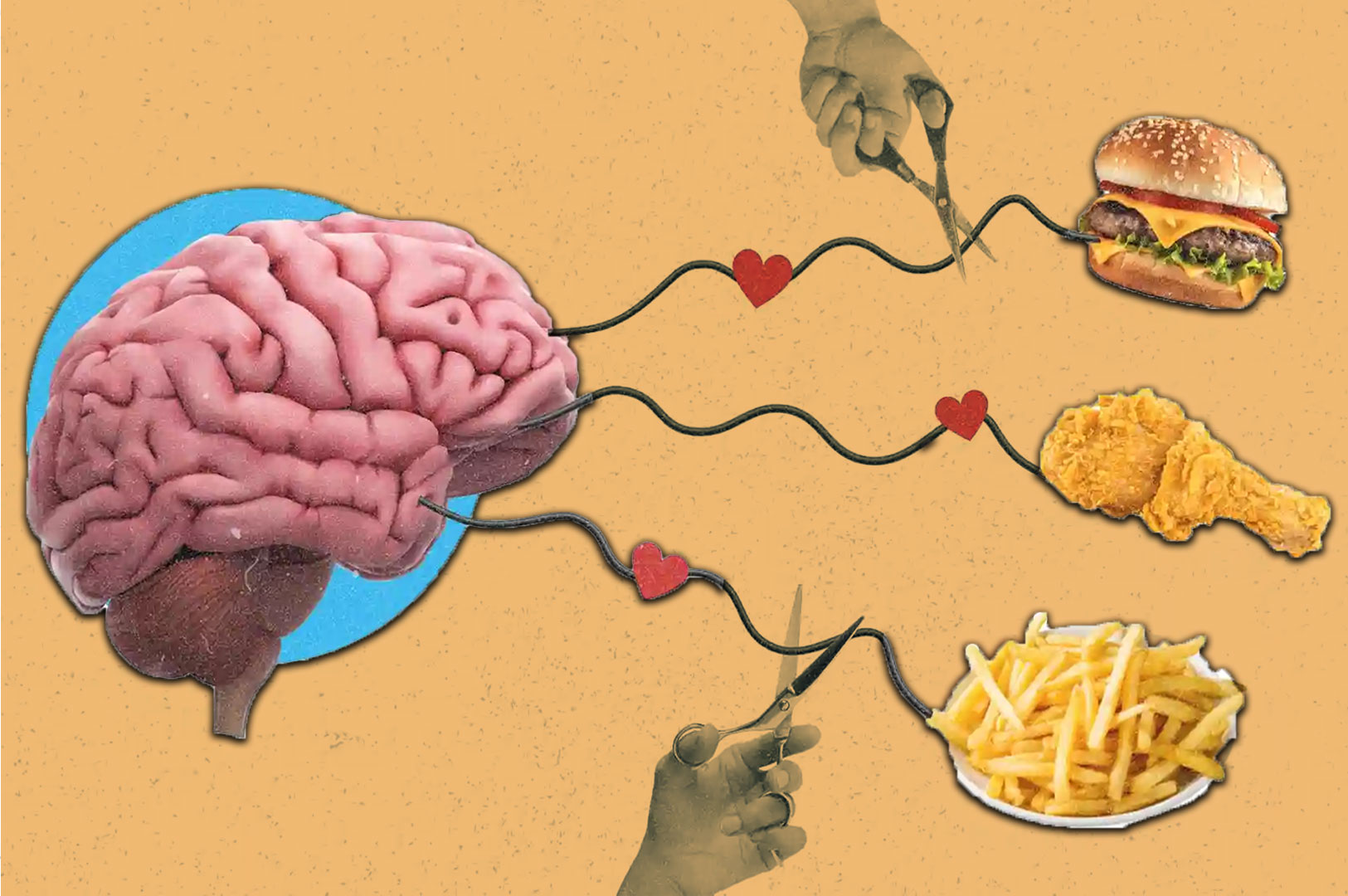Illustration of a brain with connections to a burger, fried chicken, and fries, each cut by scissors. Hearts on the lines suggest emotional ties to junk food.