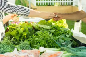 Customer paying for fresh leafy greens, herbs, and vegetables at an outdoor farmers market.