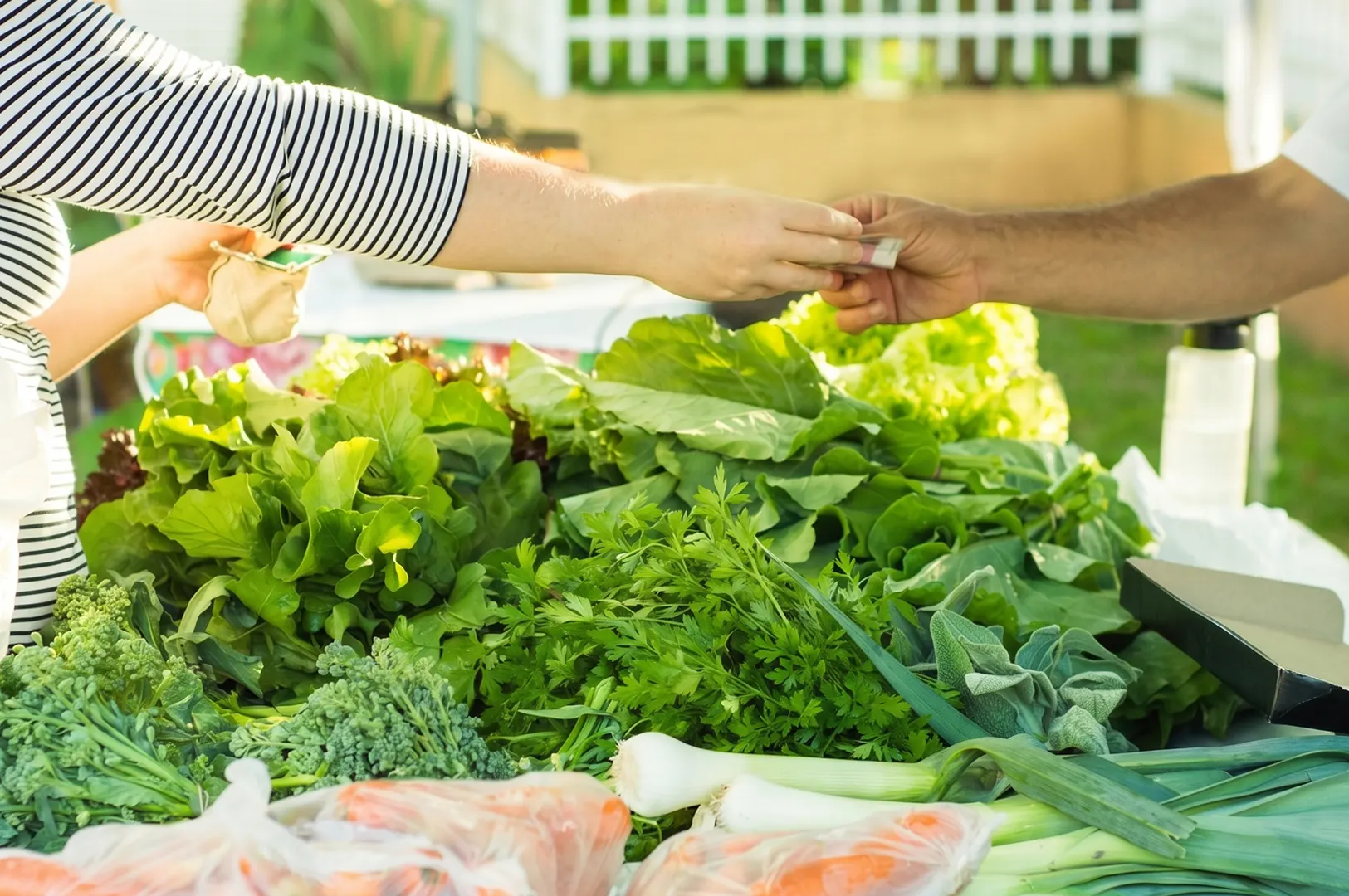 Customer paying for fresh leafy greens, herbs, and vegetables at an outdoor farmers market.