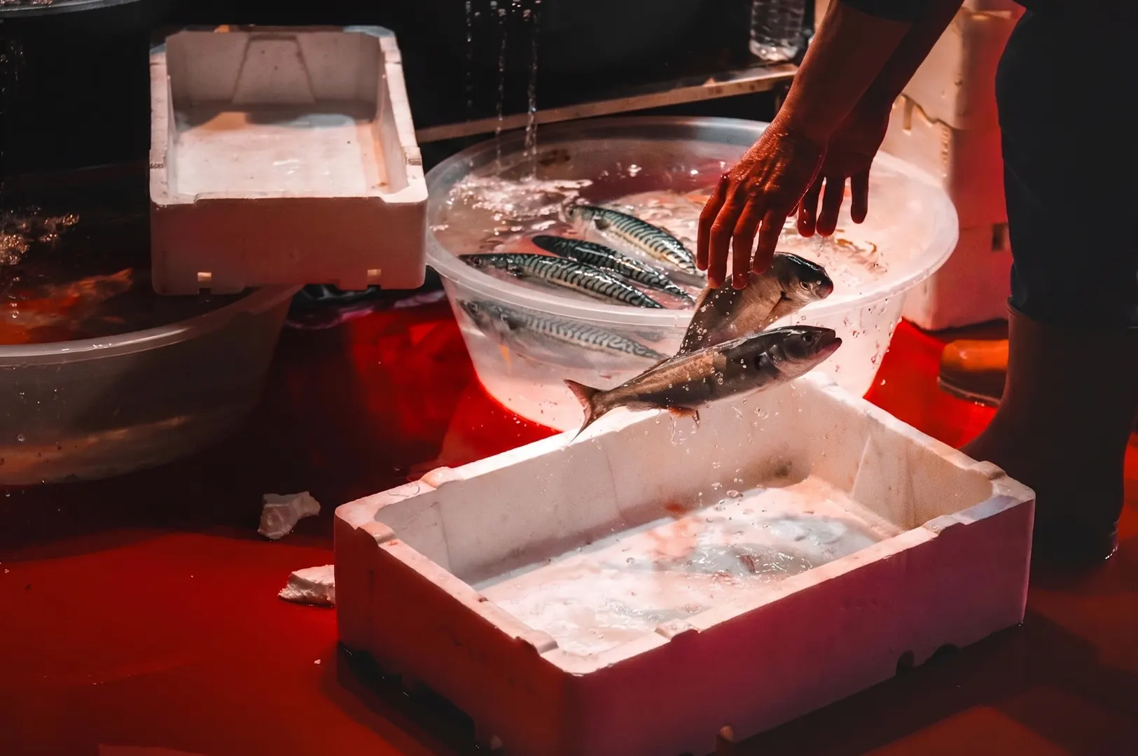 A vendor sorting fresh mackerel into a white styrofoam container at a busy wet market.