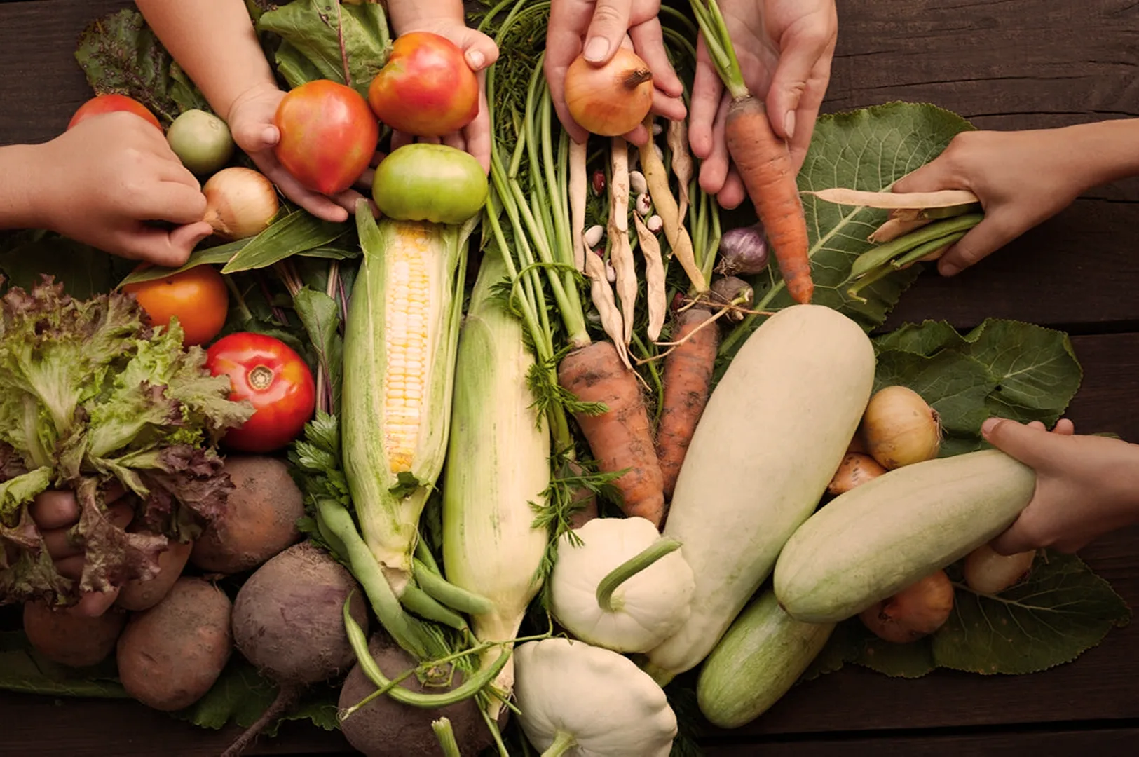 Hands reach for fresh vegetables on a wooden table, including tomatoes, corn, lettuce, carrots, and squash, conveying a sense of abundance and harvest.